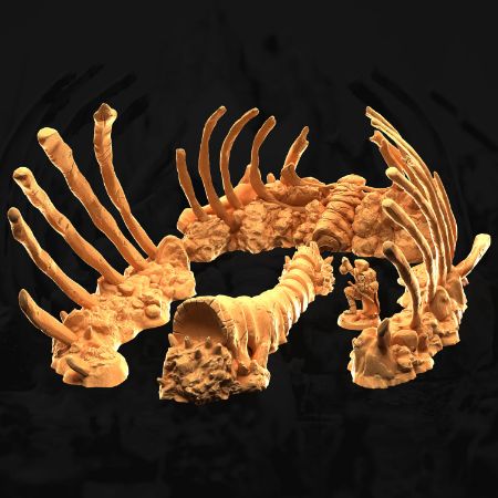 Image de la catégorie Cimetière des Titans