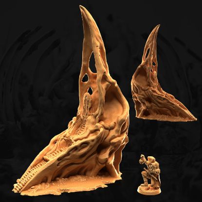 Image de Le throne du corbeau