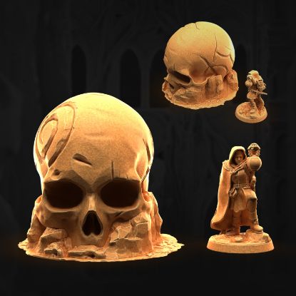 Image de Le crâne du géant